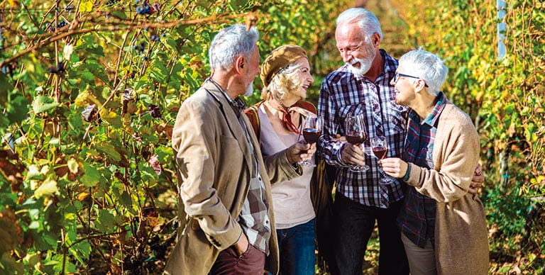 People enjoying wine in a vineyard